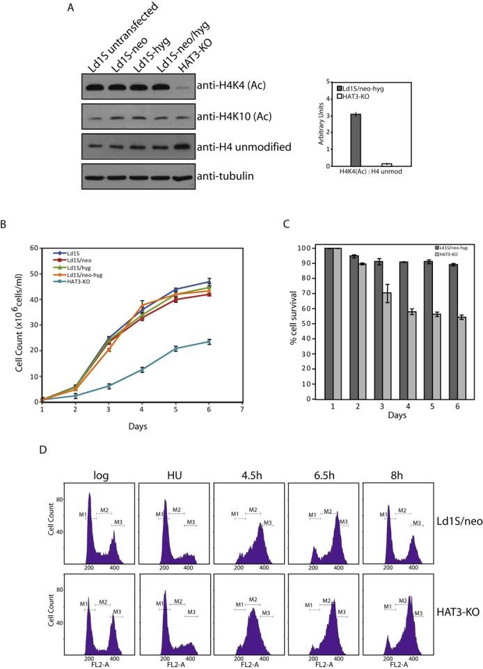 https://cdn.ncbi.nlm.nih.gov/pmc/blobs/9642/4477661/c535fe437fcf/gkv431fig5.jpg