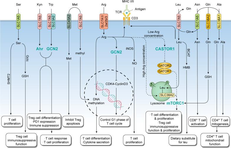 https://cdn.ncbi.nlm.nih.gov/pmc/blobs/9643/10240810/06a15e1891bb/13045_2023_1453_Fig1_HTML.jpg