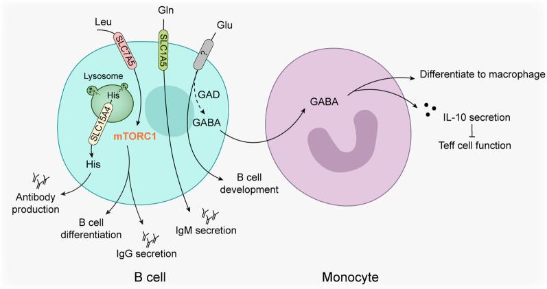 https://cdn.ncbi.nlm.nih.gov/pmc/blobs/9643/10240810/5feea863e6cc/13045_2023_1453_Fig2_HTML.jpg