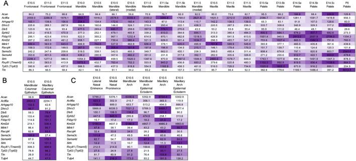 https://cdn.ncbi.nlm.nih.gov/pmc/blobs/9645/9273634/81729dde0216/41598_2022_15885_Fig4_HTML.jpg