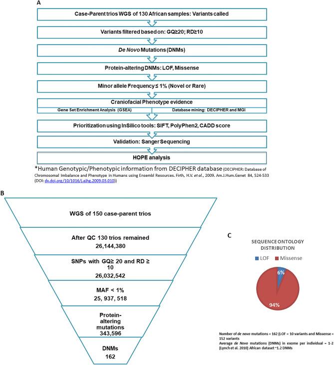 https://cdn.ncbi.nlm.nih.gov/pmc/blobs/9645/9273634/bc1326a6d1b1/41598_2022_15885_Fig1_HTML.jpg