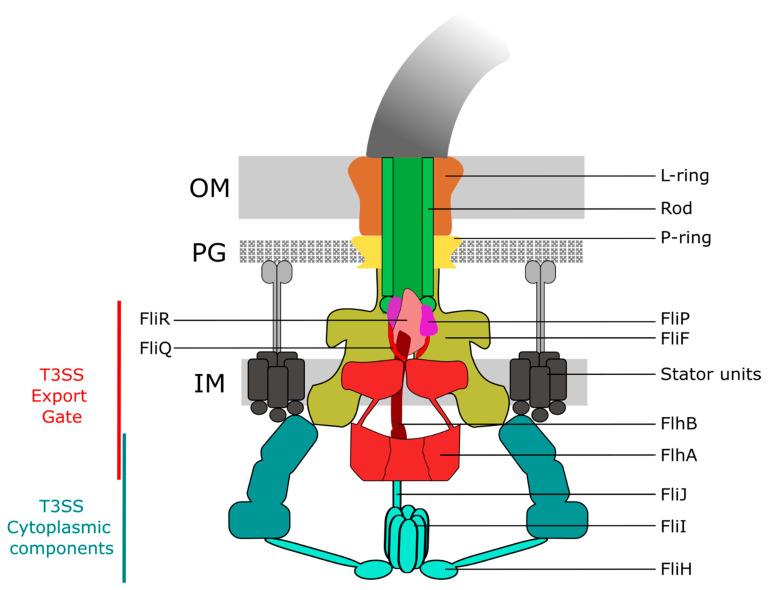 https://cdn.ncbi.nlm.nih.gov/pmc/blobs/9649/7911332/996678882291/biomolecules-11-00186-g001.jpg