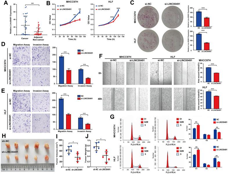 https://cdn.ncbi.nlm.nih.gov/pmc/blobs/9649/8312417/c2a5bacdb9c1/aging-13-203250-g010.jpg