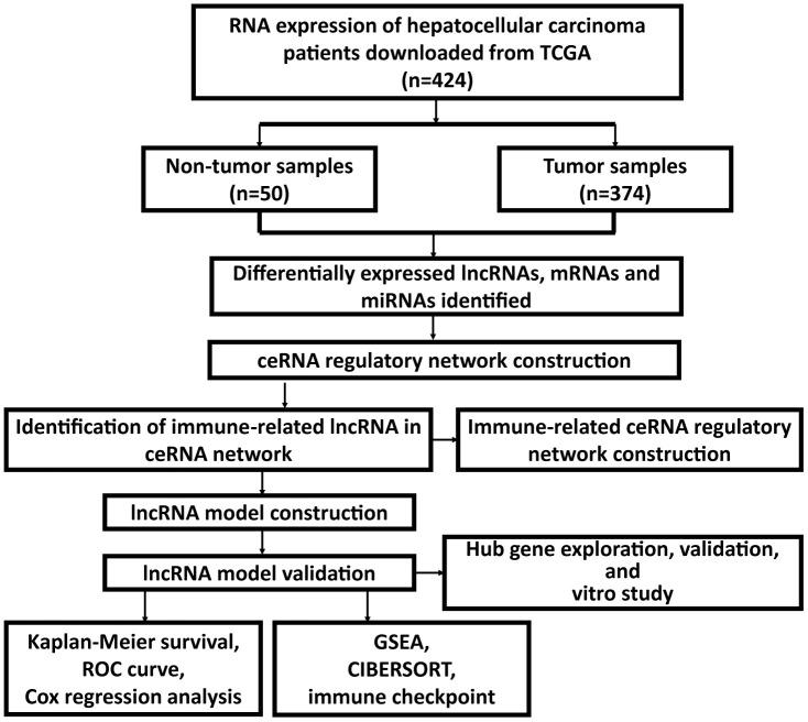 https://cdn.ncbi.nlm.nih.gov/pmc/blobs/9649/8312417/f2daf85ad19b/aging-13-203250-g001.jpg
