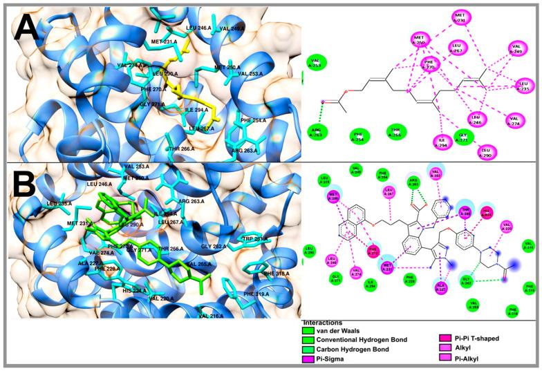 https://cdn.ncbi.nlm.nih.gov/pmc/blobs/964c/11085222/6db6c2897114/molecules-29-01956-g006.jpg
