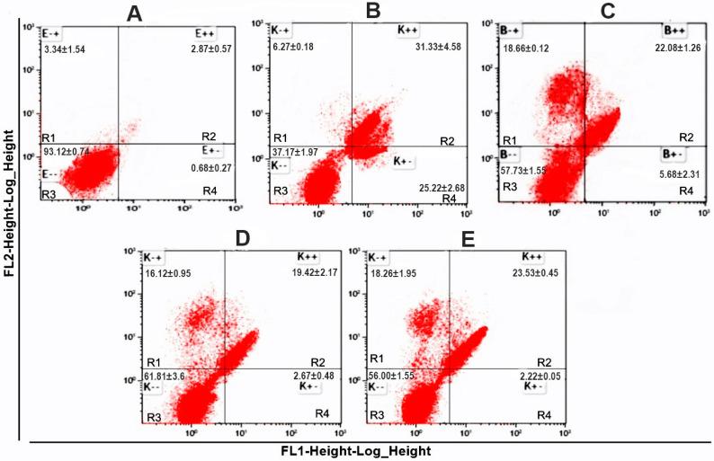 https://cdn.ncbi.nlm.nih.gov/pmc/blobs/964c/11085222/b62314169c07/molecules-29-01956-g002.jpg