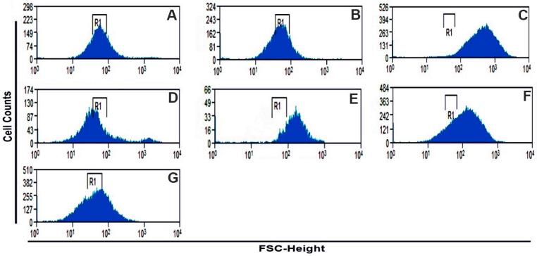 https://cdn.ncbi.nlm.nih.gov/pmc/blobs/964c/11085222/d39a1daecff3/molecules-29-01956-g003.jpg