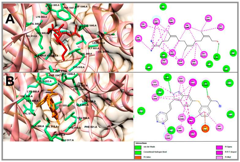 https://cdn.ncbi.nlm.nih.gov/pmc/blobs/964c/11085222/d74b3d617a44/molecules-29-01956-g007.jpg