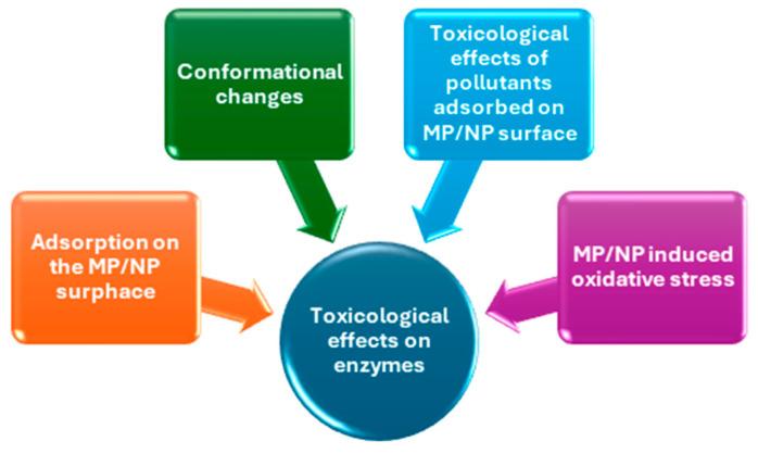 https://cdn.ncbi.nlm.nih.gov/pmc/blobs/964c/11396312/b20770c6a0c0/ijms-25-09716-g002.jpg