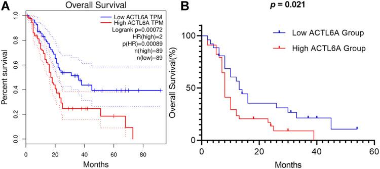 https://cdn.ncbi.nlm.nih.gov/pmc/blobs/964e/8722579/ab50c9e068a1/CMAR-13-9467-g0002.jpg