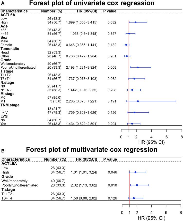 https://cdn.ncbi.nlm.nih.gov/pmc/blobs/964e/8722579/cec47f0718d5/CMAR-13-9467-g0003.jpg