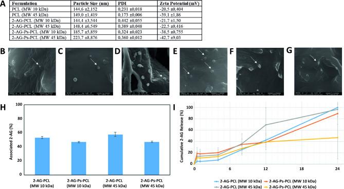 https://cdn.ncbi.nlm.nih.gov/pmc/blobs/964f/11446023/af97e9da810d/13287_2024_3902_Fig2_HTML.jpg
