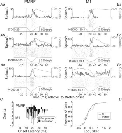 https://cdn.ncbi.nlm.nih.gov/pmc/blobs/9650/3476645/02a68f8acc6d/tjp0590-4011-f5.jpg