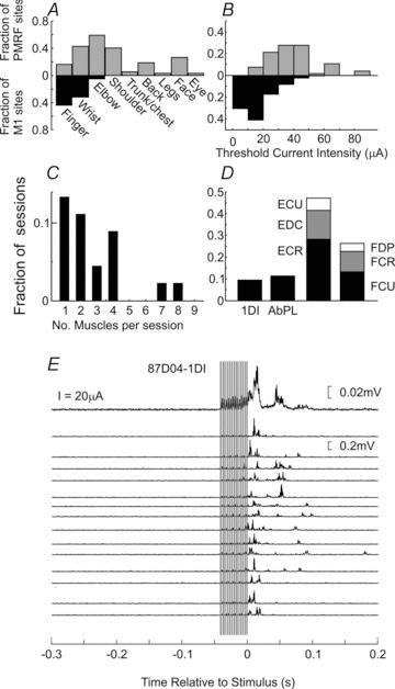 https://cdn.ncbi.nlm.nih.gov/pmc/blobs/9650/3476645/249fa2afdb8e/tjp0590-4011-f6.jpg