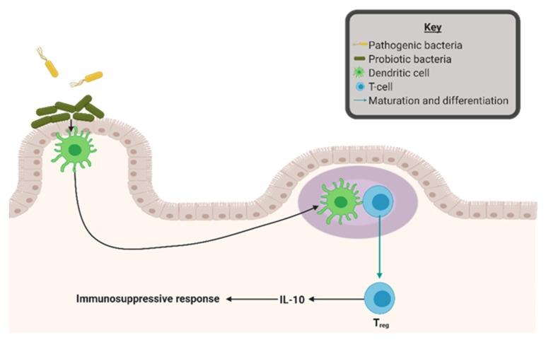 https://cdn.ncbi.nlm.nih.gov/pmc/blobs/9653/6893457/12648df7d849/nutrients-11-02565-g003.jpg