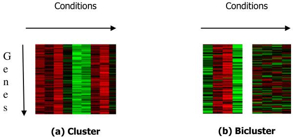 https://cdn.ncbi.nlm.nih.gov/pmc/blobs/9654/2892498/157a934274e5/1748-7188-5-23-1.jpg