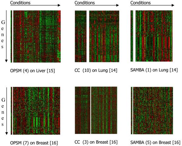 https://cdn.ncbi.nlm.nih.gov/pmc/blobs/9654/2892498/b5b02abf1ca0/1748-7188-5-23-2.jpg