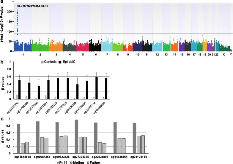 https://cdn.ncbi.nlm.nih.gov/pmc/blobs/965d/8254308/ca87b47fd682/13148_2021_1117_Fig2_HTML.jpg
