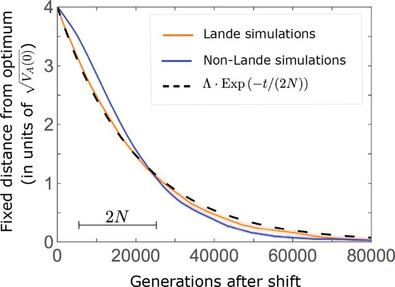 https://cdn.ncbi.nlm.nih.gov/pmc/blobs/965e/9683794/62e92e16cfac/elife-66697-fig8.jpg