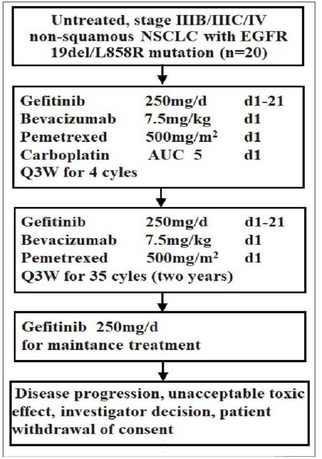 https://cdn.ncbi.nlm.nih.gov/pmc/blobs/965f/11520869/79e6486f950d/12885_2024_13084_Fig1_HTML.jpg