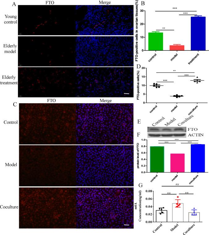 https://cdn.ncbi.nlm.nih.gov/pmc/blobs/9662/10185602/42755baba561/12015_2022_10485_Fig2_HTML.jpg