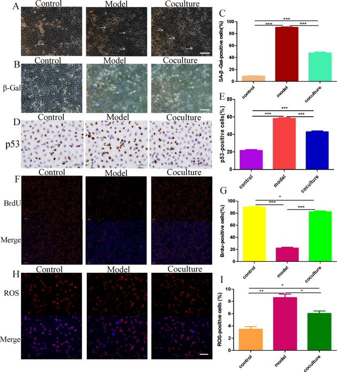 https://cdn.ncbi.nlm.nih.gov/pmc/blobs/9662/10185602/b882625d2102/12015_2022_10485_Fig1_HTML.jpg