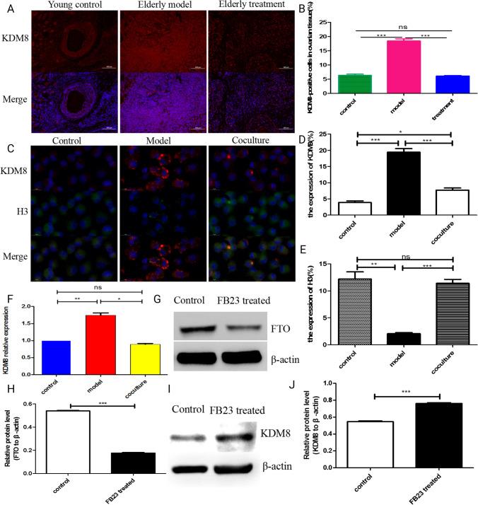 https://cdn.ncbi.nlm.nih.gov/pmc/blobs/9662/10185602/ba2087b7135d/12015_2022_10485_Fig7_HTML.jpg