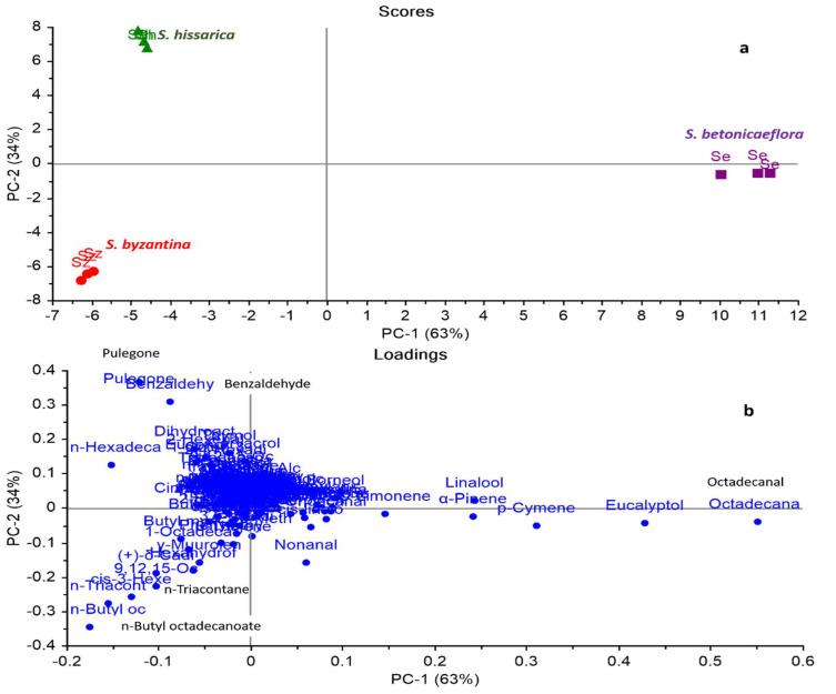 https://cdn.ncbi.nlm.nih.gov/pmc/blobs/9662/9105566/05f1d2a2a17e/plants-11-01215-g001.jpg