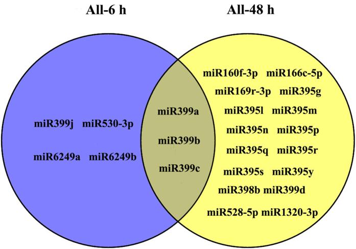 https://cdn.ncbi.nlm.nih.gov/pmc/blobs/9663/5562839/4aee9e50354c/41598_2017_9143_Fig7_HTML.jpg