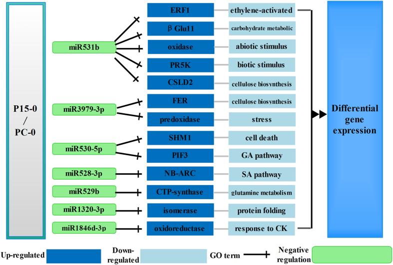 https://cdn.ncbi.nlm.nih.gov/pmc/blobs/9663/5562839/b5dbeeaf392a/41598_2017_9143_Fig5_HTML.jpg