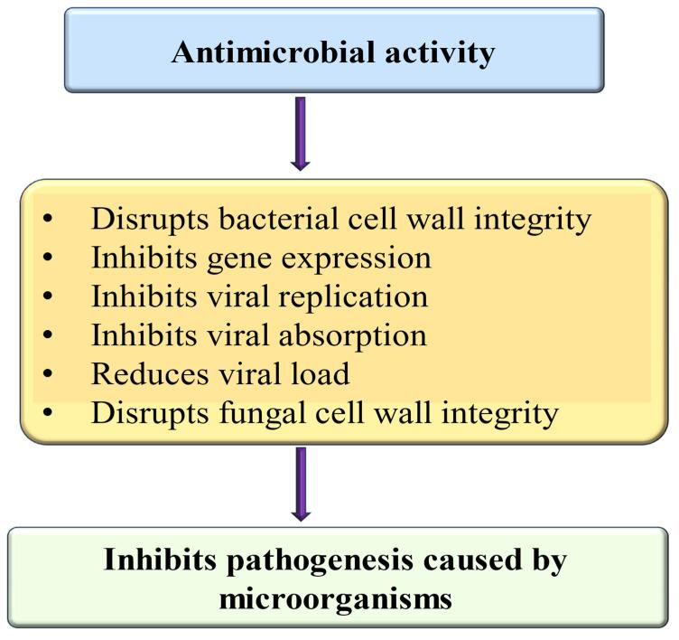https://cdn.ncbi.nlm.nih.gov/pmc/blobs/9666/12071824/4c6c2121f900/ijms-26-04188-g008.jpg