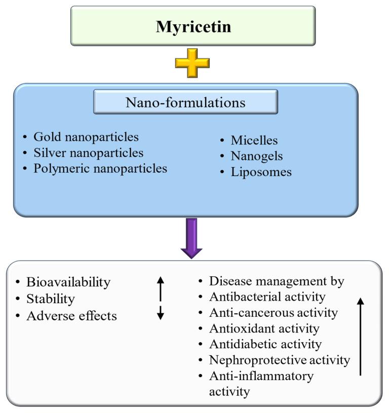 https://cdn.ncbi.nlm.nih.gov/pmc/blobs/9666/12071824/5a1307fc8a63/ijms-26-04188-g009.jpg