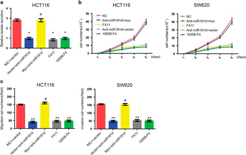 https://cdn.ncbi.nlm.nih.gov/pmc/blobs/9667/5550850/311ff1c1b064/cddis2017300f5.jpg