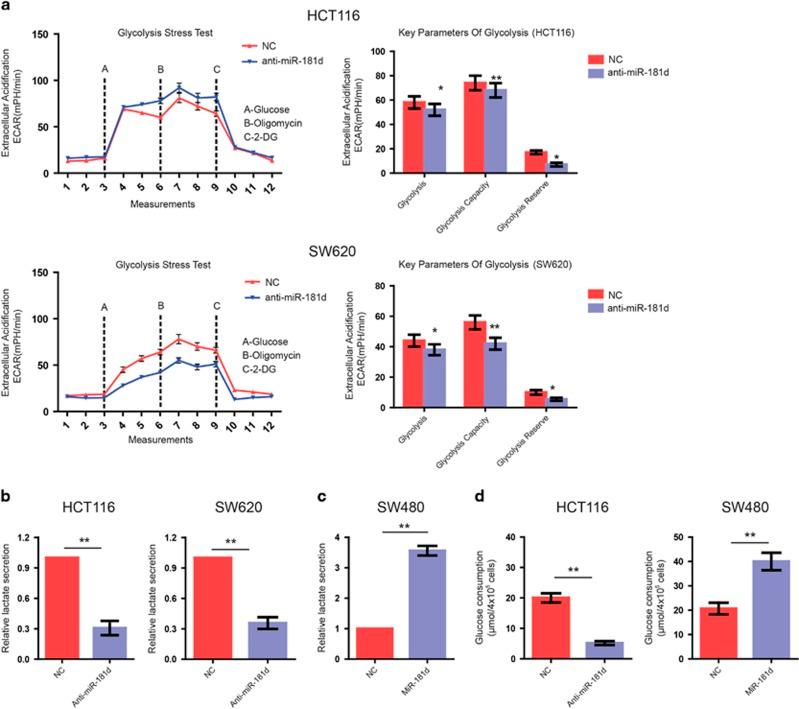 https://cdn.ncbi.nlm.nih.gov/pmc/blobs/9667/5550850/c4168a96445d/cddis2017300f3.jpg