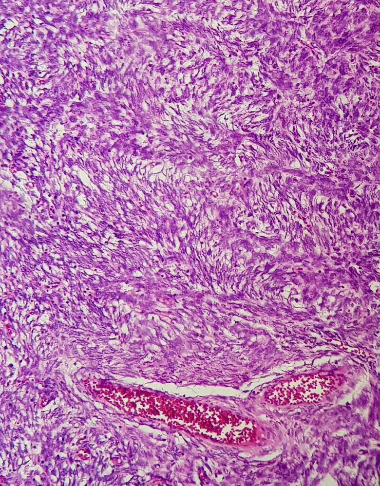 https://cdn.ncbi.nlm.nih.gov/pmc/blobs/9668/10189258/24cb33b6871d/gr5.jpg