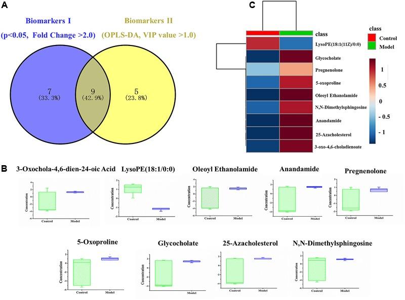 https://cdn.ncbi.nlm.nih.gov/pmc/blobs/9668/5583968/6e0213d96536/fphar-08-00586-g004.jpg
