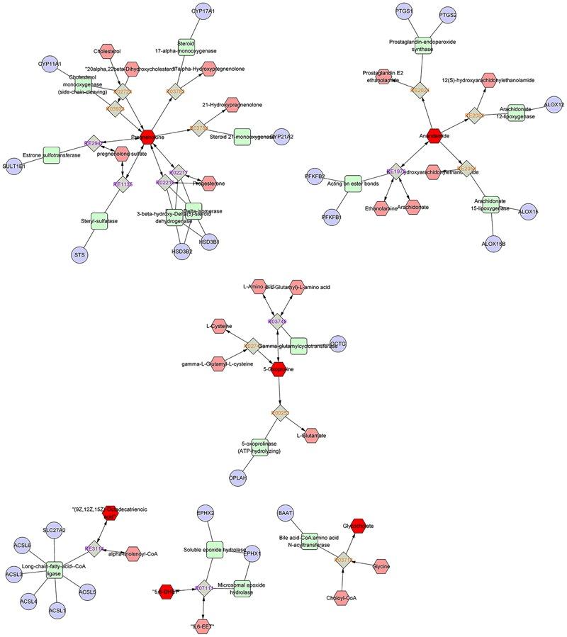 https://cdn.ncbi.nlm.nih.gov/pmc/blobs/9668/5583968/c52ca0cd93b0/fphar-08-00586-g006.jpg