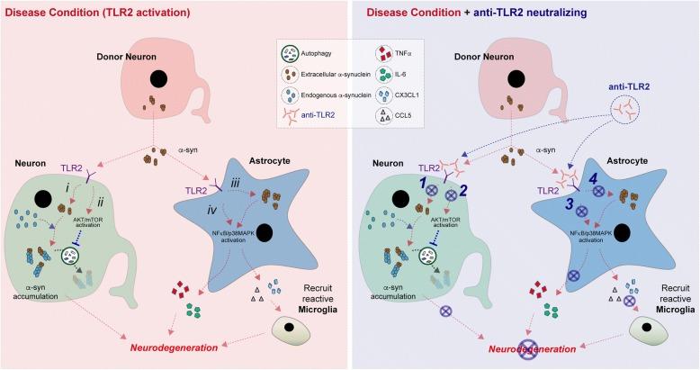 https://cdn.ncbi.nlm.nih.gov/pmc/blobs/9668/6085656/2d7d324d3623/13024_2018_276_Fig8_HTML.jpg