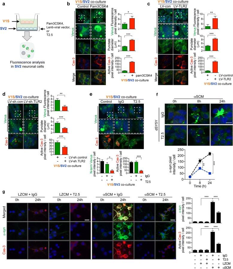 https://cdn.ncbi.nlm.nih.gov/pmc/blobs/9668/6085656/f763118911cf/13024_2018_276_Fig6_HTML.jpg