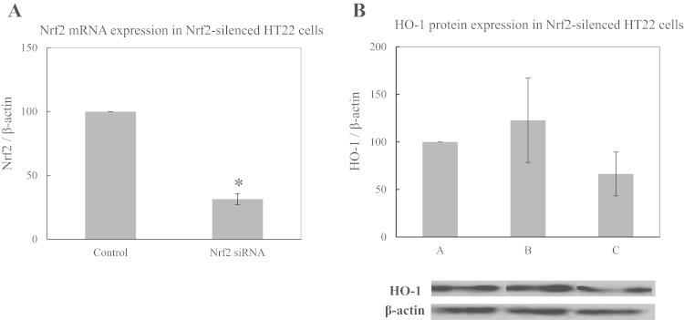 https://cdn.ncbi.nlm.nih.gov/pmc/blobs/966c/4789349/64bb3181e413/gr6.jpg