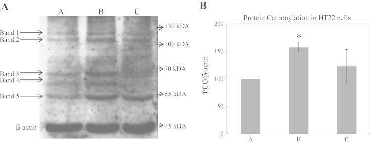 https://cdn.ncbi.nlm.nih.gov/pmc/blobs/966c/4789349/8970e1b3bf6a/gr3.jpg