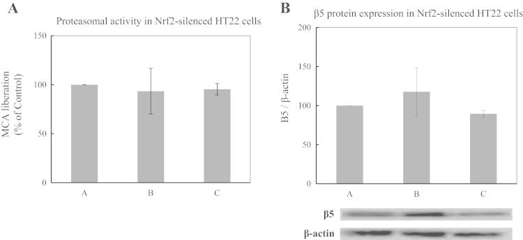 https://cdn.ncbi.nlm.nih.gov/pmc/blobs/966c/4789349/b10528a62631/gr7.jpg