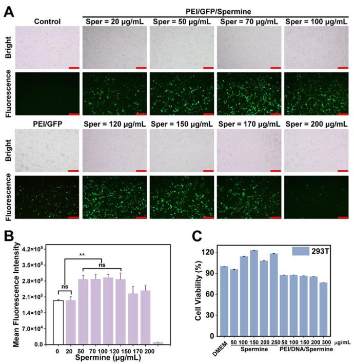 https://cdn.ncbi.nlm.nih.gov/pmc/blobs/966d/11768368/19311cd4ecba/pharmaceutics-17-00131-g002.jpg