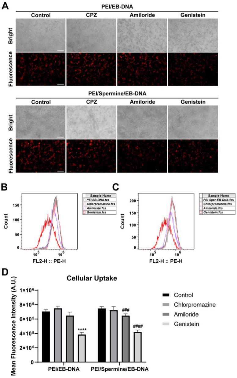 https://cdn.ncbi.nlm.nih.gov/pmc/blobs/966d/11768368/26a1589d36fe/pharmaceutics-17-00131-g005.jpg