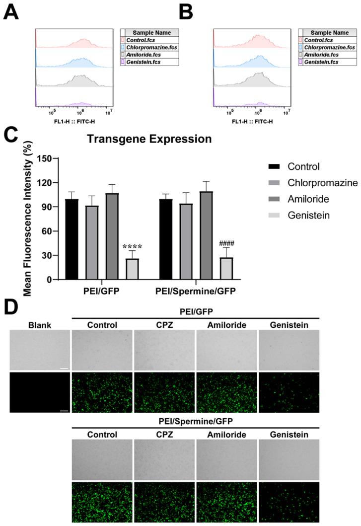 https://cdn.ncbi.nlm.nih.gov/pmc/blobs/966d/11768368/5b911dd65a21/pharmaceutics-17-00131-g006.jpg