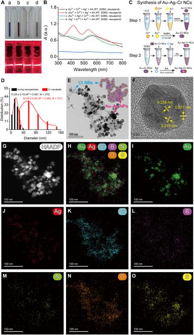 https://cdn.ncbi.nlm.nih.gov/pmc/blobs/966f/12280986/967baf3d78a2/research.0763.fig.002.jpg