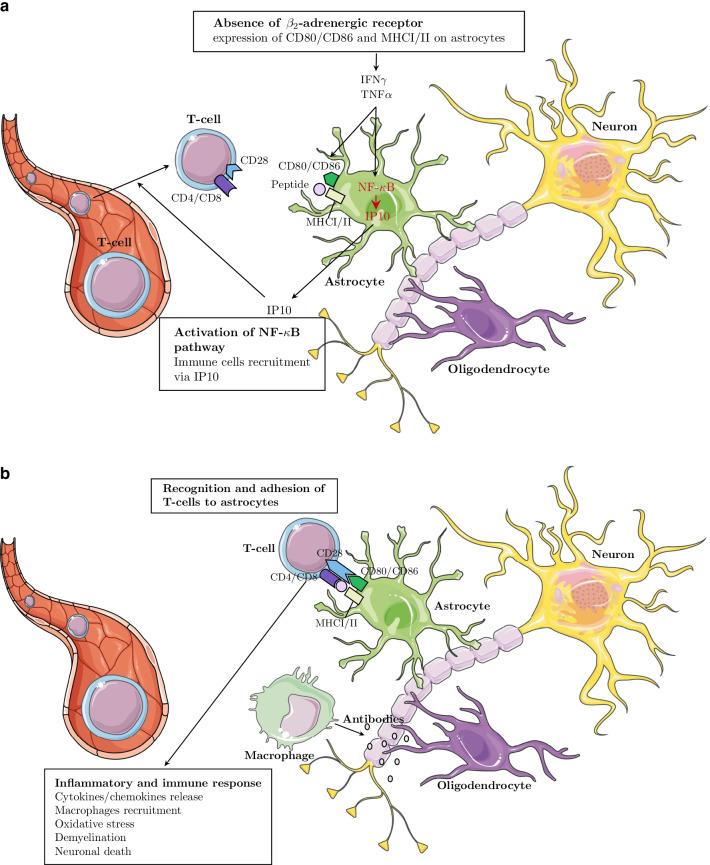 https://cdn.ncbi.nlm.nih.gov/pmc/blobs/9673/9063218/69b7a4165974/12920_2022_1247_Fig5_HTML.jpg