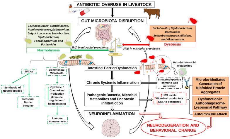 https://cdn.ncbi.nlm.nih.gov/pmc/blobs/9674/12190112/a485ebc24853/antibiotics-14-00608-g004.jpg