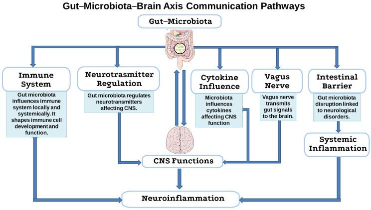 https://cdn.ncbi.nlm.nih.gov/pmc/blobs/9674/12190112/dd68b1488e70/antibiotics-14-00608-g003.jpg