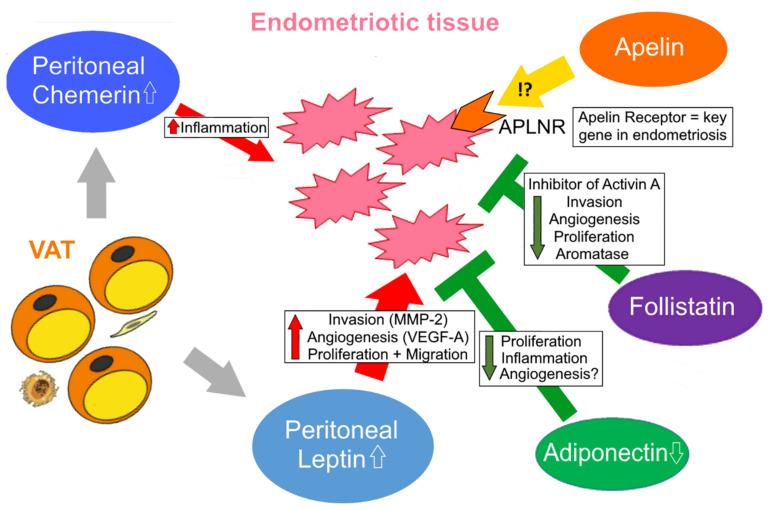 https://cdn.ncbi.nlm.nih.gov/pmc/blobs/9674/9598769/6daa65a58ece/biomedicines-10-02503-g002.jpg
